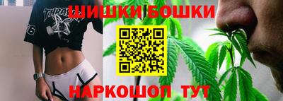 a pvp Камышлов