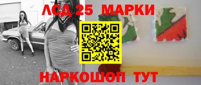 гашик Кандалакша