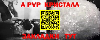 a pvp Камышлов