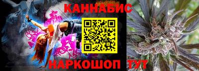 a pvp Камышлов