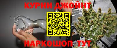 гашик Кандалакша