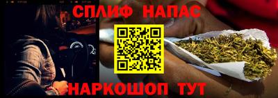 a pvp Камышлов